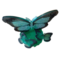 memory standaard 3 vlinders 