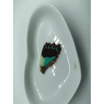 Vlinder vleugel nr 2