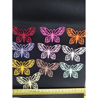 Vlinderstans groep 2 