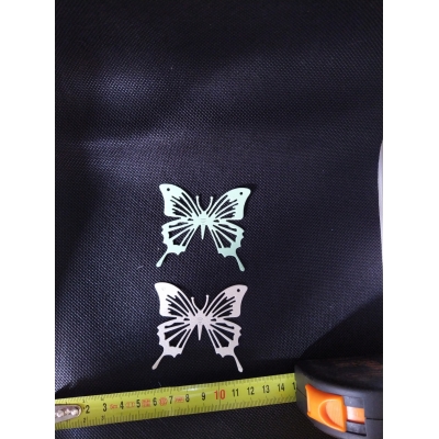 Vlinderstans groep 5