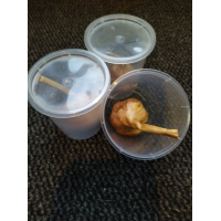 gerookte verse knoflookbol