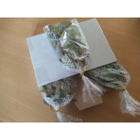 laurier bladeren van seizoen 2024