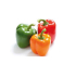 Paprika ROOD