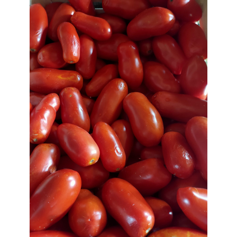 San Marzano tomaat per kistje