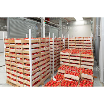 san marzano tomaat per kistje