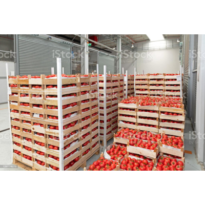 san marzano tomaat per kistje