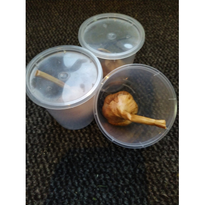 gerookte verse knoflookbol